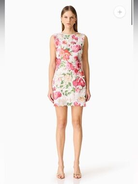 elliatt roselle pink floral lace sleeveless mini shift dress size small NEW
